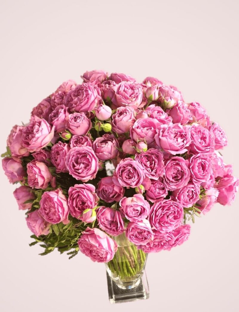 order premium pink roses UAE