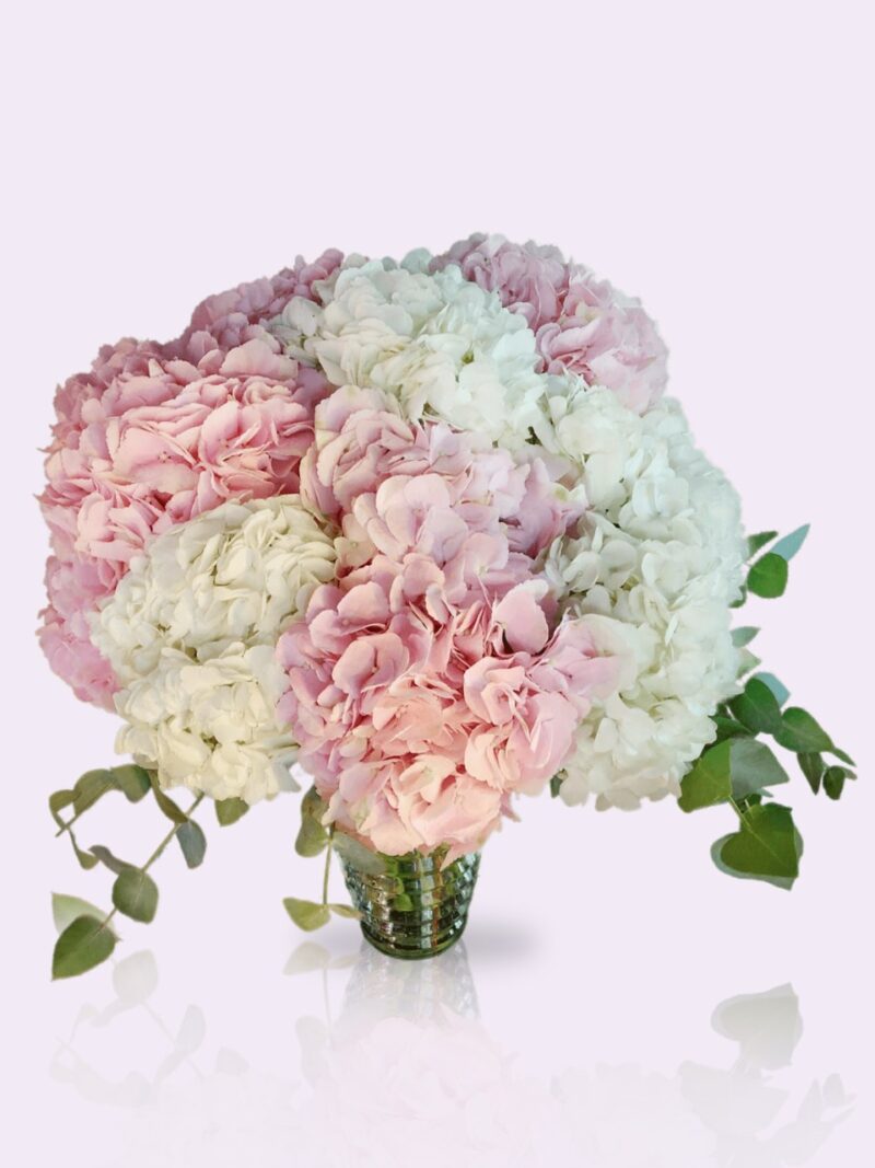 send hydrangea bouquets dubai