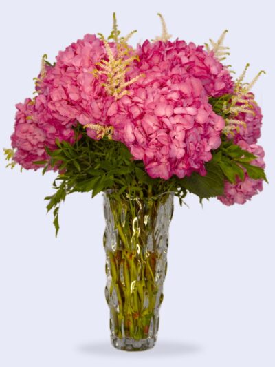 pink hydrangeas in a crystal vase