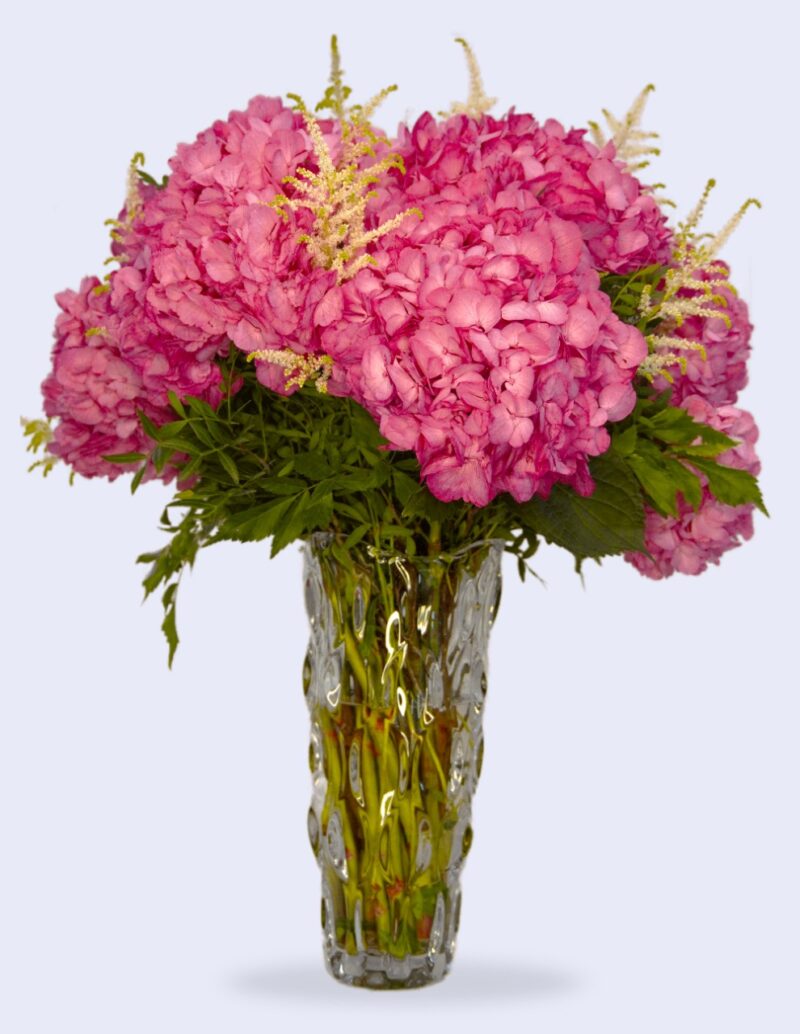 pink hydrangeas in a crystal vase