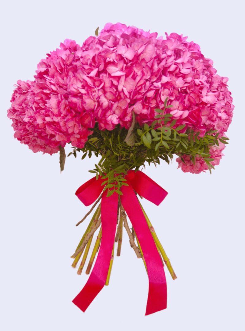 buy pink hydrangeas in Dubai