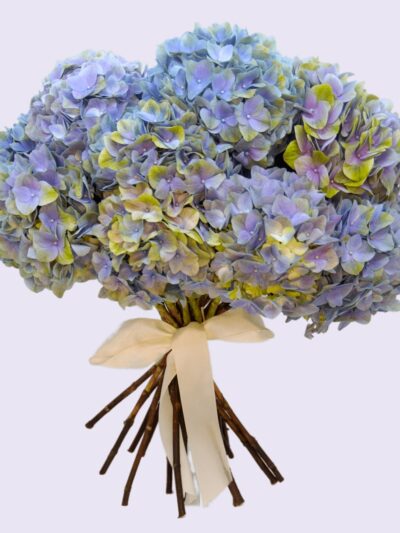 hydrangea flowers online delivery in dubai