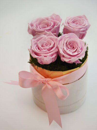 buy baby pink roses in UAE