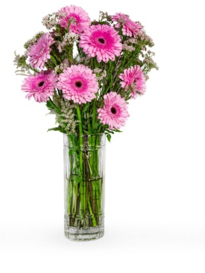 Pink daisy flower online delivery UAE