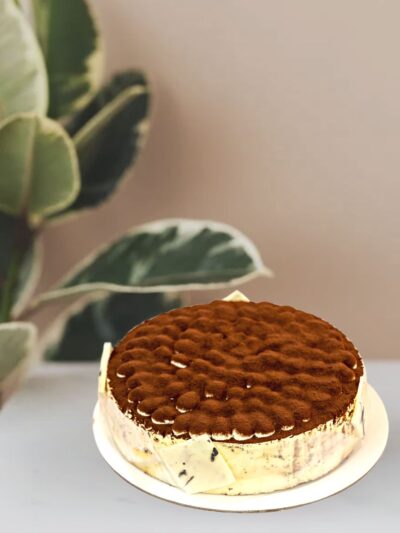 classic Italian cake Tiramisu
