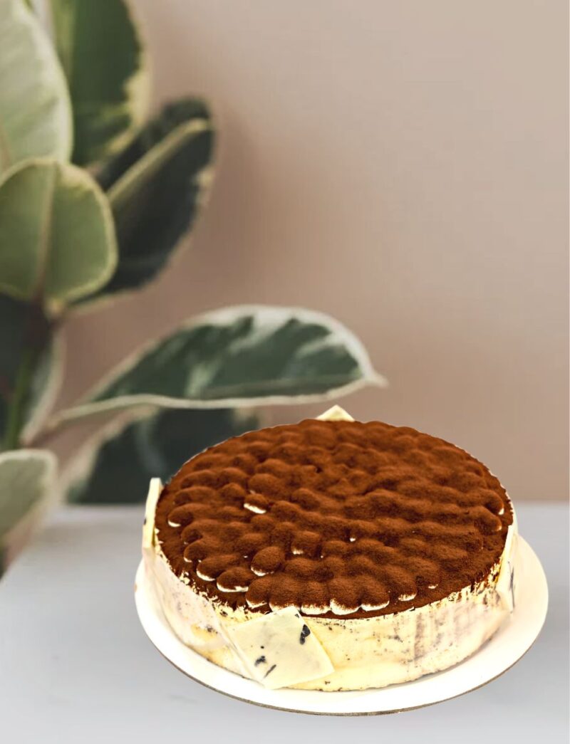 classic Italian cake Tiramisu