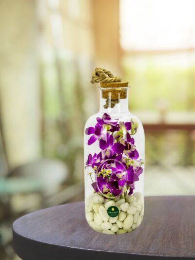 Buy Purple Orchids Dubai