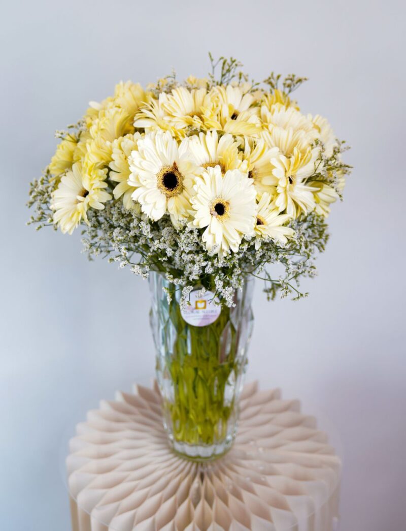 Order fresh gerbera flowers online in uae