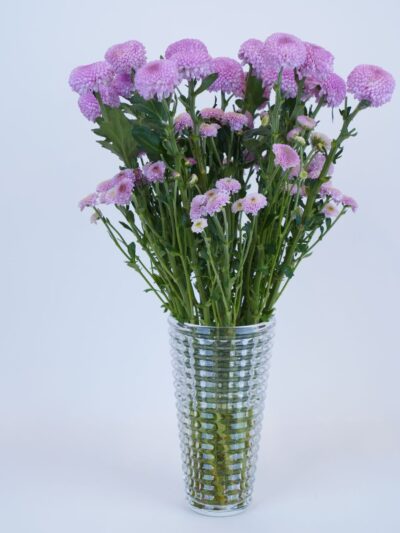 carnations in crystal vase