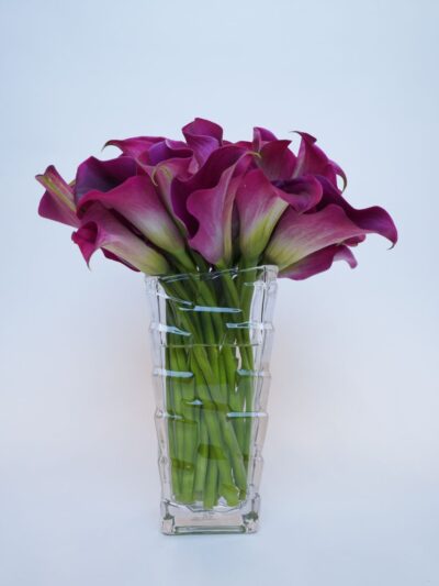 wine hued lilies
