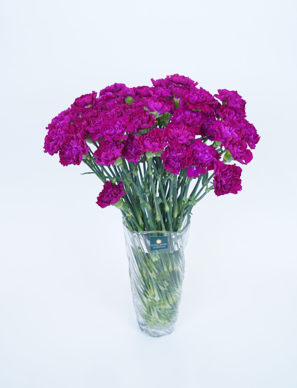 Send Carnation Flower Bouquet in UAE