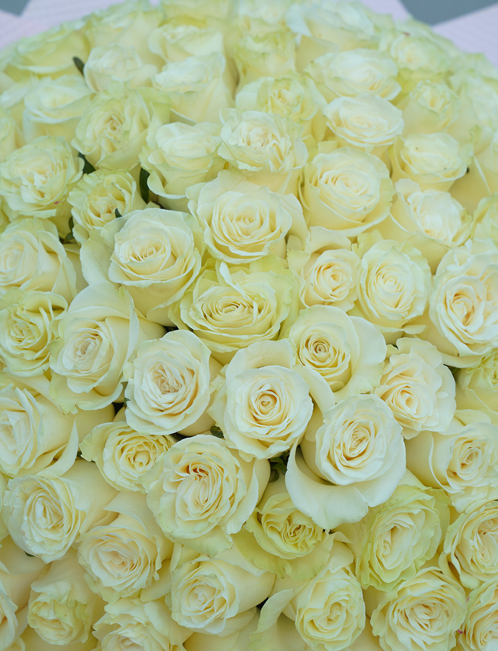Pearl Rose Bouquet - Image 5