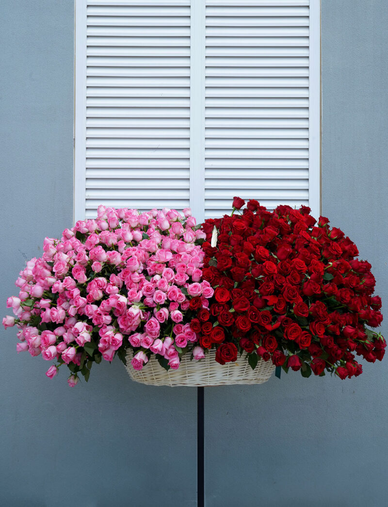 What flower is given on Valentine's Day