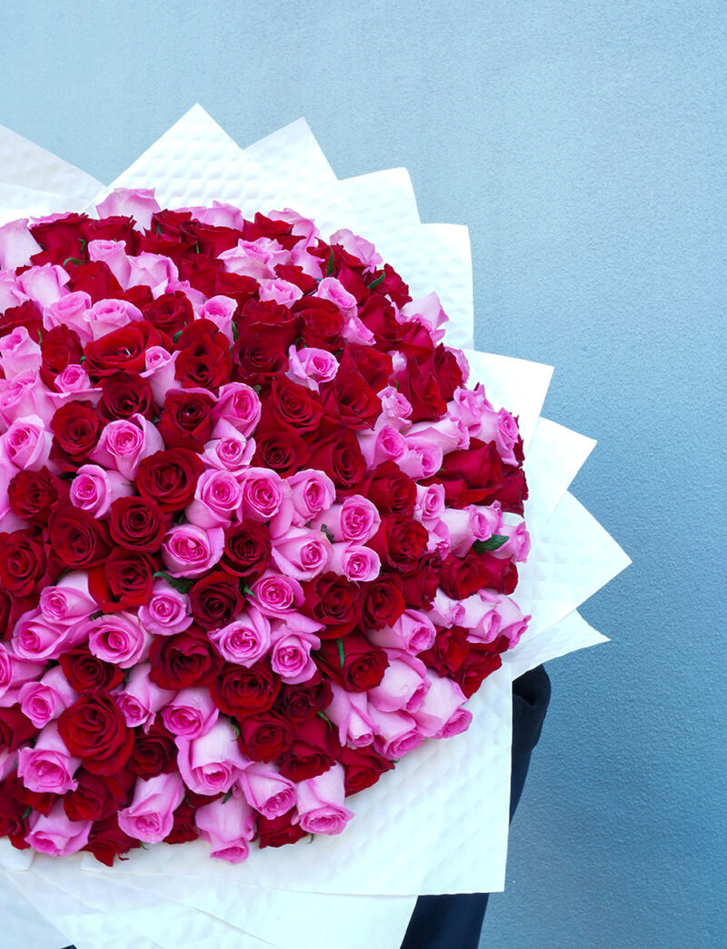 Buy the best valentines day flowers for your girlfriend