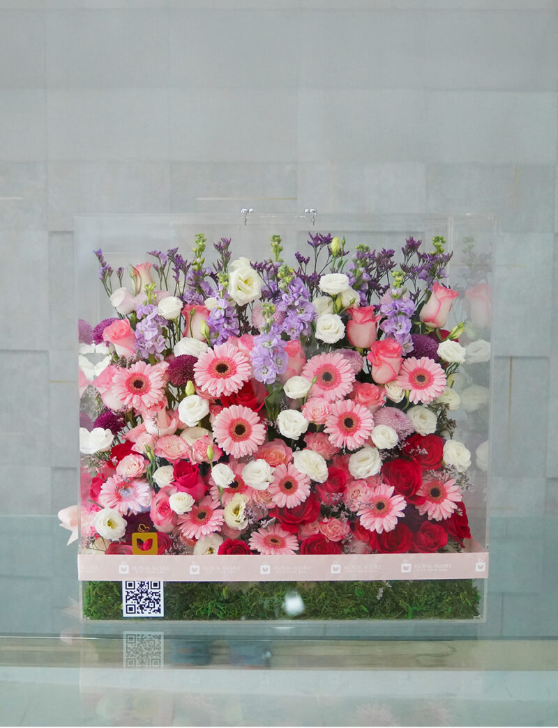 Buy transparent flower boxes in uae